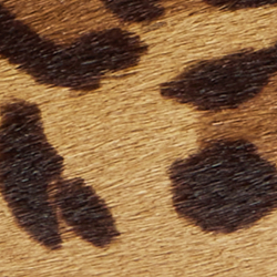 Modern Leopard