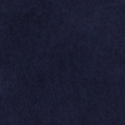 Refined Navy