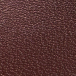 Polo Brown