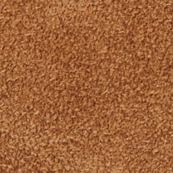 Teak