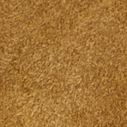 Desert Tan