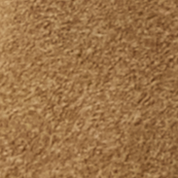 Desert Tan