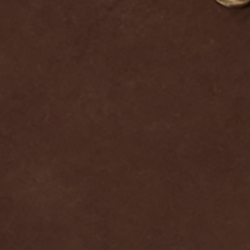 Chocolate Brown