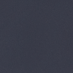Navy/white Polo