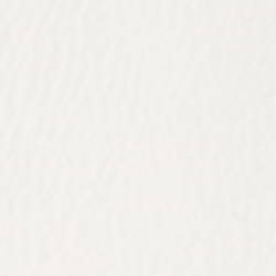 White/Red/Navy