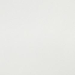 White/Tiger Head