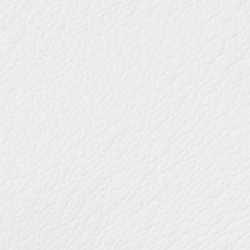 White/Royal