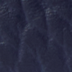 Fr.-Navy/Beach Shop Bear