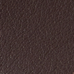 Dark Chocolate/ecru