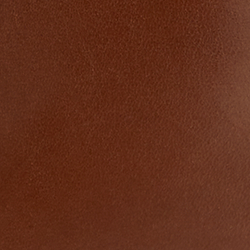 Color cuoio Polo