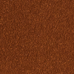 Cinnamon
