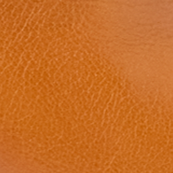 Cuoio/Creme