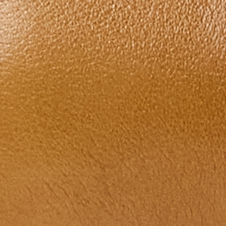 Tan Leather