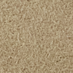 Light Tan