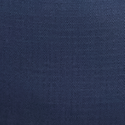 Navy/White