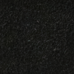 Black/Holiday Bear